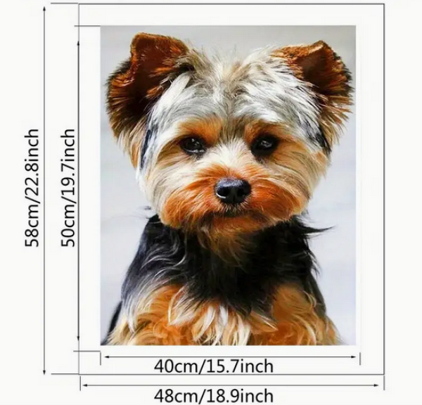 Malen nach Zahlen Yorkshire Terrier